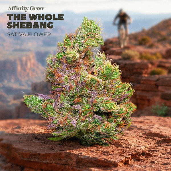 The Whole Shebang Flower (3.5g)