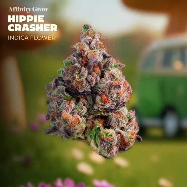 Hippie Crasher Flower (3.5g)