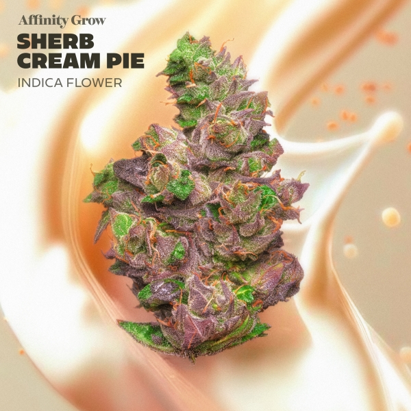 Sherb Cream Pie Flower (3.5g)