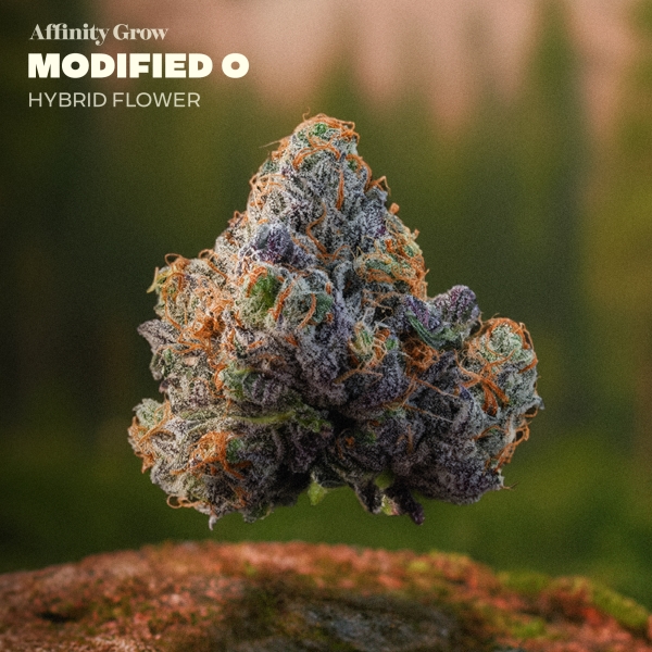 Modified O Flower (3.5g)