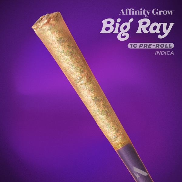 Mac Stomper Big Ray Pre-Roll (1g)