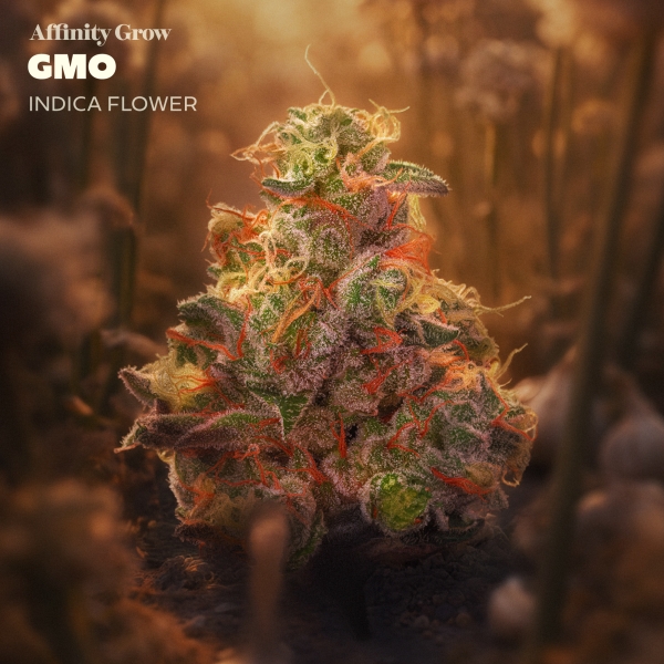 GMO Flower (3.5g)
