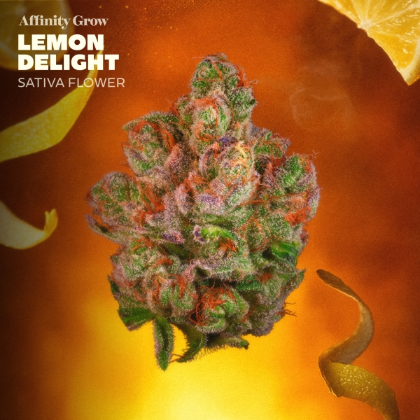 Lemon Delight Flower (3.5g)